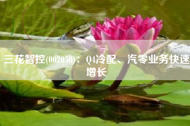 三花智控(002050)：Q4冷配、汽零业务快速增长