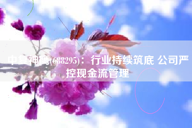 中复神鹰(688295)：行业持续筑底 公司严控现金流管理