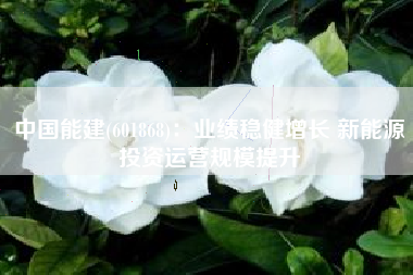 中国能建(601868)：业绩稳健增长 新能源投资运营规模提升