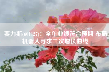 赛力斯(601127)：全年业绩符合预期 布局机器人寻求二次增长曲线