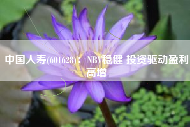 中国人寿(601628)：NBV稳健 投资驱动盈利高增