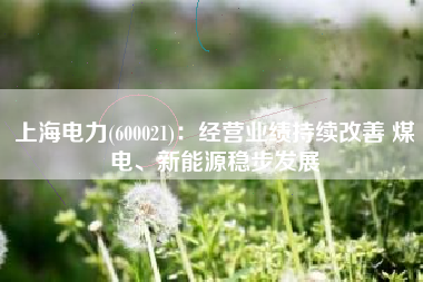 上海电力(600021)：经营业绩持续改善 煤电、新能源稳步发展