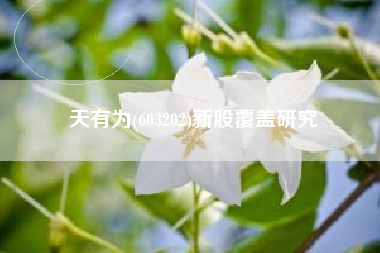 天有为(603202)新股覆盖研究