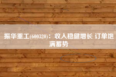 振华重工(600320)：收入稳健增长 订单饱满蓄势