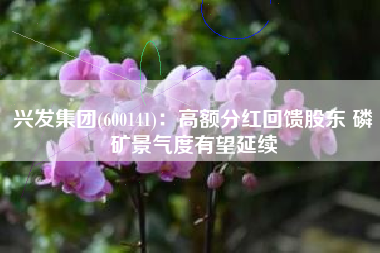 兴发集团(600141)：高额分红回馈股东 磷矿景气度有望延续