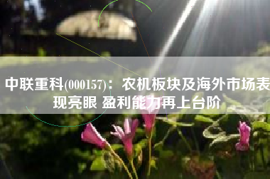 中联重科(000157)：农机板块及海外市场表现亮眼 盈利能力再上台阶