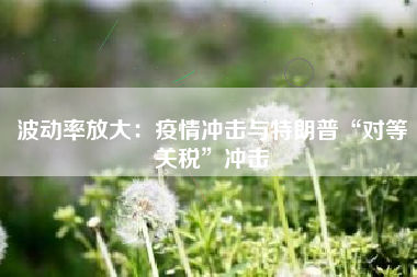 波动率放大：疫情冲击与特朗普“对等关税”冲击