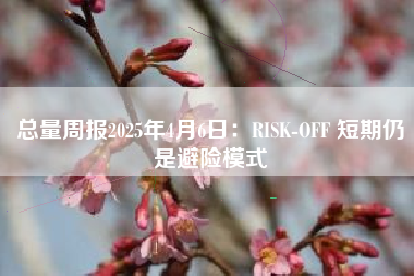 总量周报2025年4月6日：RISK-OFF 短期仍是避险模式