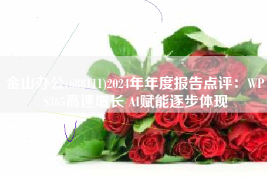 金山办公(688111)2024年年度报告点评：WPS365高速增长 AI赋能逐步体现