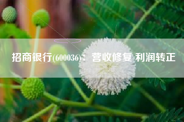 招商银行(600036)：营收修复 利润转正