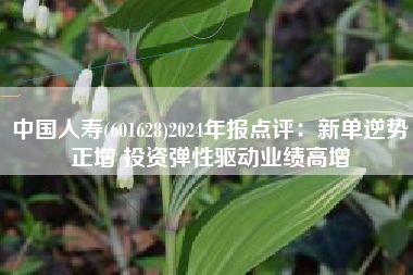 中国人寿(601628)2024年报点评：新单逆势正增 投资弹性驱动业绩高增
