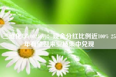 三维化学(002469)：现金分红比例近100% 25年有望迎来业绩集中兑现
