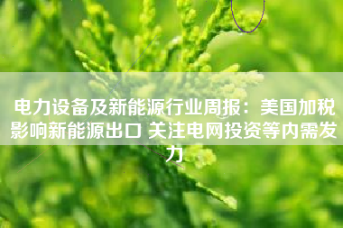 电力设备及新能源行业周报：美国加税影响新能源出口 关注电网投资等内需发力