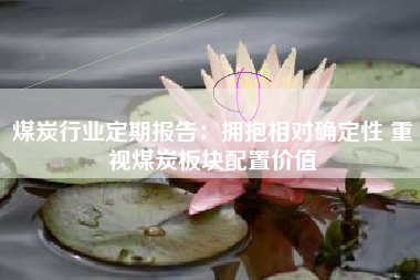 煤炭行业定期报告：拥抱相对确定性 重视煤炭板块配置价值
