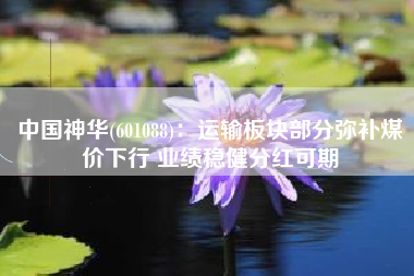 中国神华(601088)：运输板块部分弥补煤价下行 业绩稳健分红可期