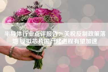 半导体行业点评报告：关税反制政策落地 模拟芯片国产化进程有望加速