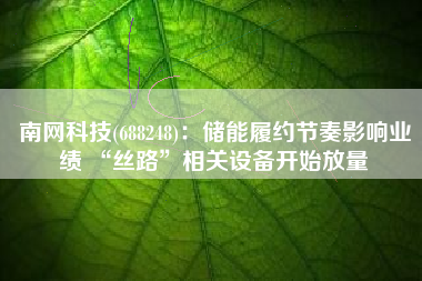 南网科技(688248)：储能履约节奏影响业绩 “丝路”相关设备开始放量