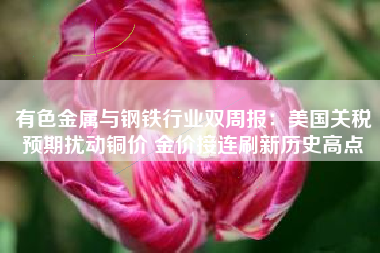 有色金属与钢铁行业双周报：美国关税预期扰动铜价 金价接连刷新历史高点