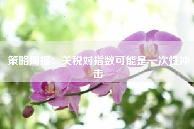 策略周报：关税对指数可能是一次性冲击