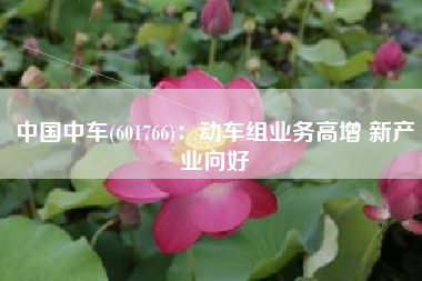 中国中车(601766)：动车组业务高增 新产业向好
