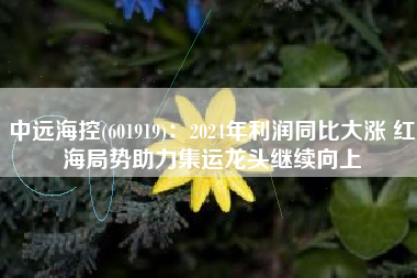 中远海控(601919)：2024年利润同比大涨 红海局势助力集运龙头继续向上