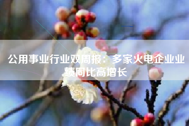 公用事业行业双周报：多家火电企业业绩同比高增长