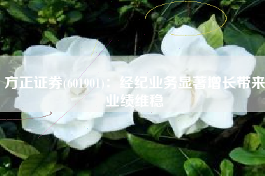 方正证券(601901)：经纪业务显著增长带来业绩维稳