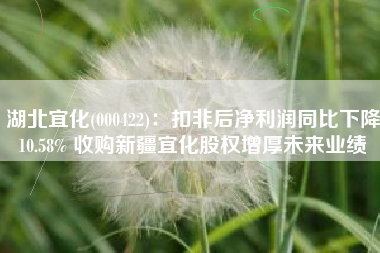 湖北宜化(000422)：扣非后净利润同比下降10.58% 收购新疆宜化股权增厚未来业绩