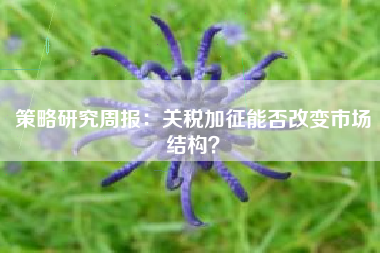 策略研究周报：关税加征能否改变市场结构？