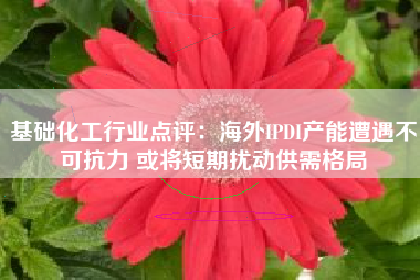 基础化工行业点评：海外IPDI产能遭遇不可抗力 或将短期扰动供需格局