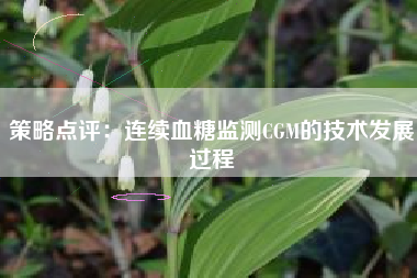 策略点评：连续血糖监测CGM的技术发展过程