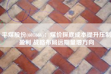 平煤股份(601666)：煤价探底成本提升压制盈利 战略布局远期量增方向