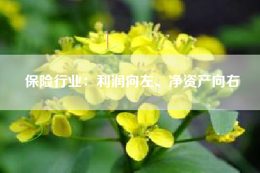 保险行业：利润向左、净资产向右