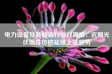 电力设备及新能源行业双周报：近期光伏组件价格延续上涨趋势
