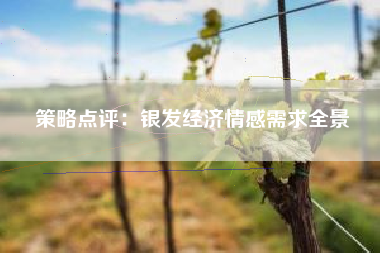 策略点评：银发经济情感需求全景