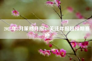 2025年3月策略月报：关注年报超预期赛道