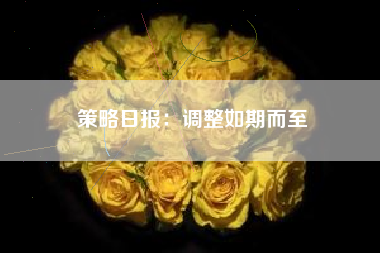 策略日报：调整如期而至