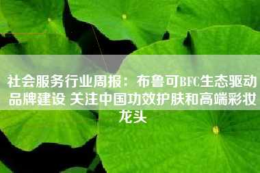 社会服务行业周报：布鲁可BFC生态驱动品牌建设 关注中国功效护肤和高端彩妆龙头