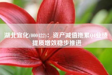 湖北宜化(000422)：资产减值拖累Q4业绩 提质增效稳步推进