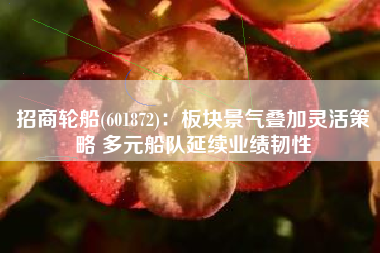 招商轮船(601872)：板块景气叠加灵活策略 多元船队延续业绩韧性