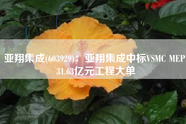亚翔集成(603929)：亚翔集成中标VSMC MEP 31.63亿元工程大单