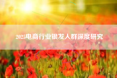 2025电商行业银发人群深度研究