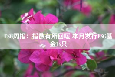 ESG周报：指数有所回暖 本月发行ESG基金16只