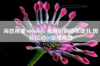 海信视像(600060)：全球份额持续提升 国补拉动Q4业绩高增