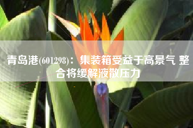 青岛港(601298)：集装箱受益于高景气 整合将缓解液散压力