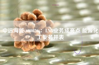 中远海能(600026)：LNG业务成亮点 能源化工业务并表