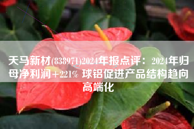 天马新材(838971)2024年报点评：2024年归母净利润+221% 球铝促进产品结构趋向高端化