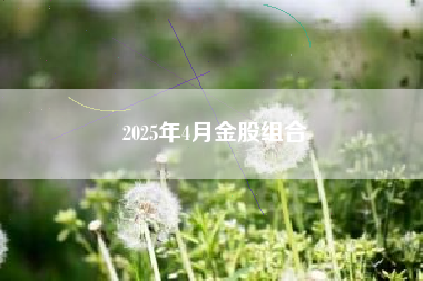2025年4月金股组合