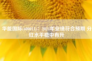 华能国际(600011)：2024年业绩符合预期 分红水平稳中有升