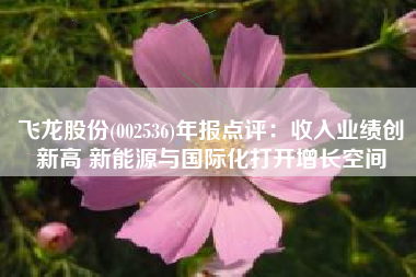 飞龙股份(002536)年报点评：收入业绩创新高 新能源与国际化打开增长空间